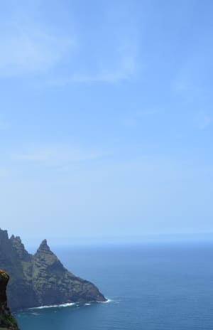 SEO Tenerife